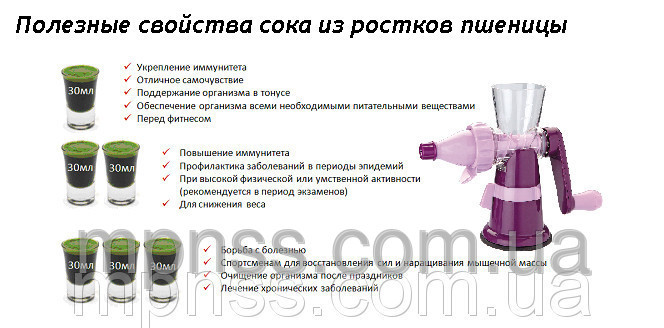 211037732_w640_h640_99866247_w640_h640_aw_sok