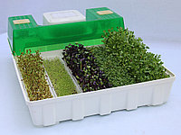 Микроферма EasyGreen 55EGL
