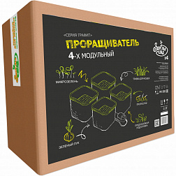 Коробка Х4 графит
