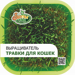 Проращиватель травки_